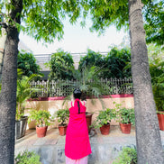 Gulnaar